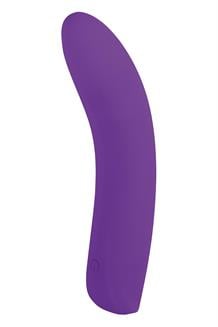 5 Inch Silicone 10 Function Vibrator Purple