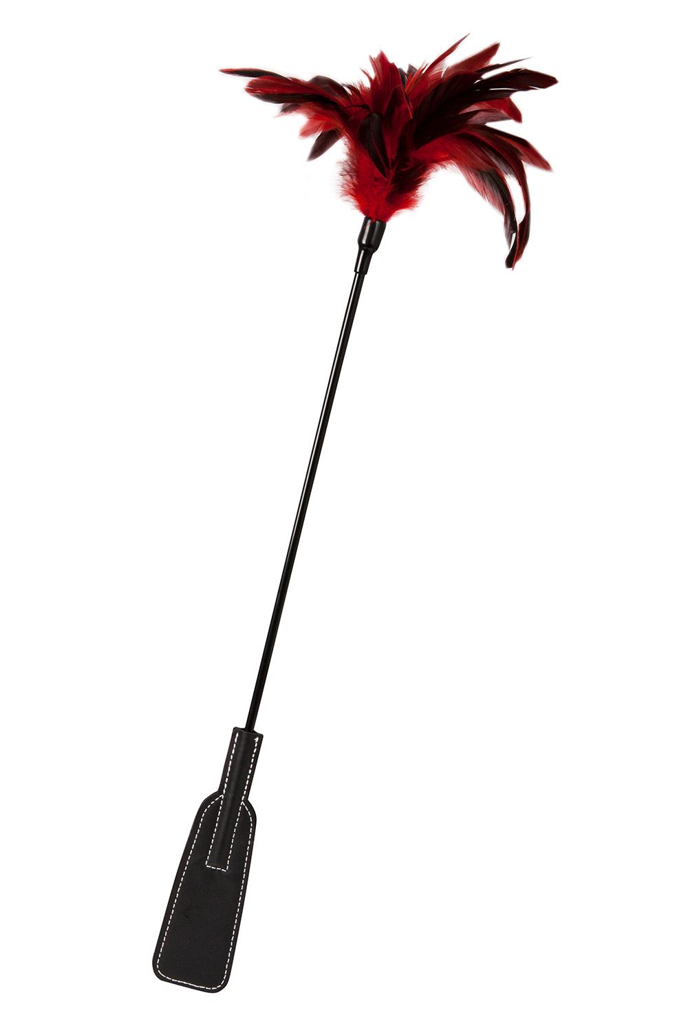 Blaze Feather Crop Black and Red