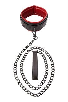 Leash & Collar Black