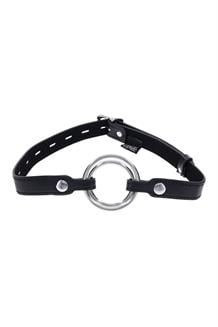 Interchangeable Ring Gag