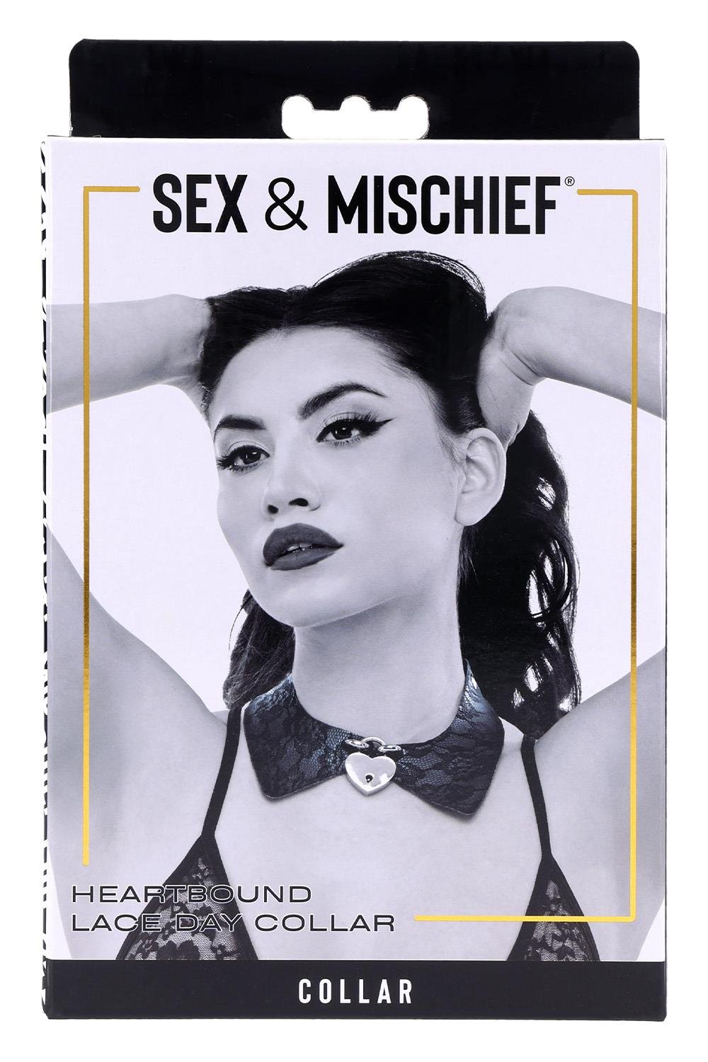 SPORTSHEETS SEX AND MISCHIEF LACE DAY COLLAR
